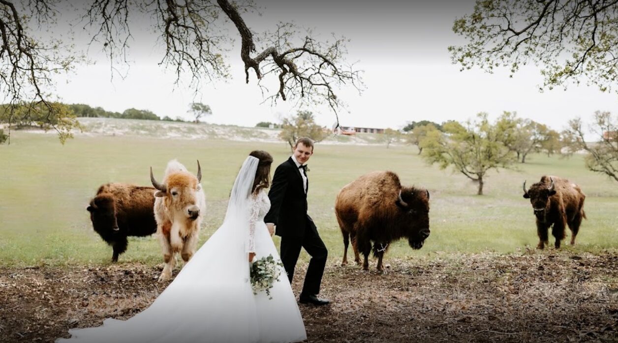 Newlyweds walking the fields at Stanton Ranch